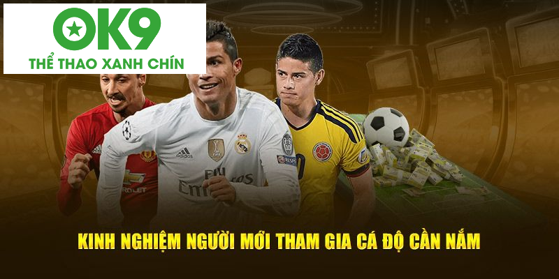Kinh nghiệm người mới tham gia cá độ cần nắm Kinh nghiệm người mới tham gia cá độ cần nắm