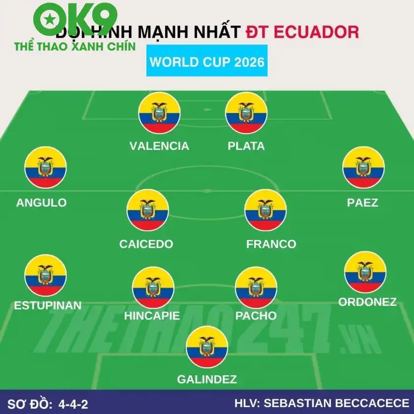 Đội hình Ecuador